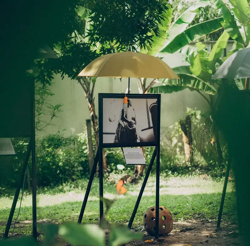 Une photographie exposée sous un parapluie jaune, dans le jardin